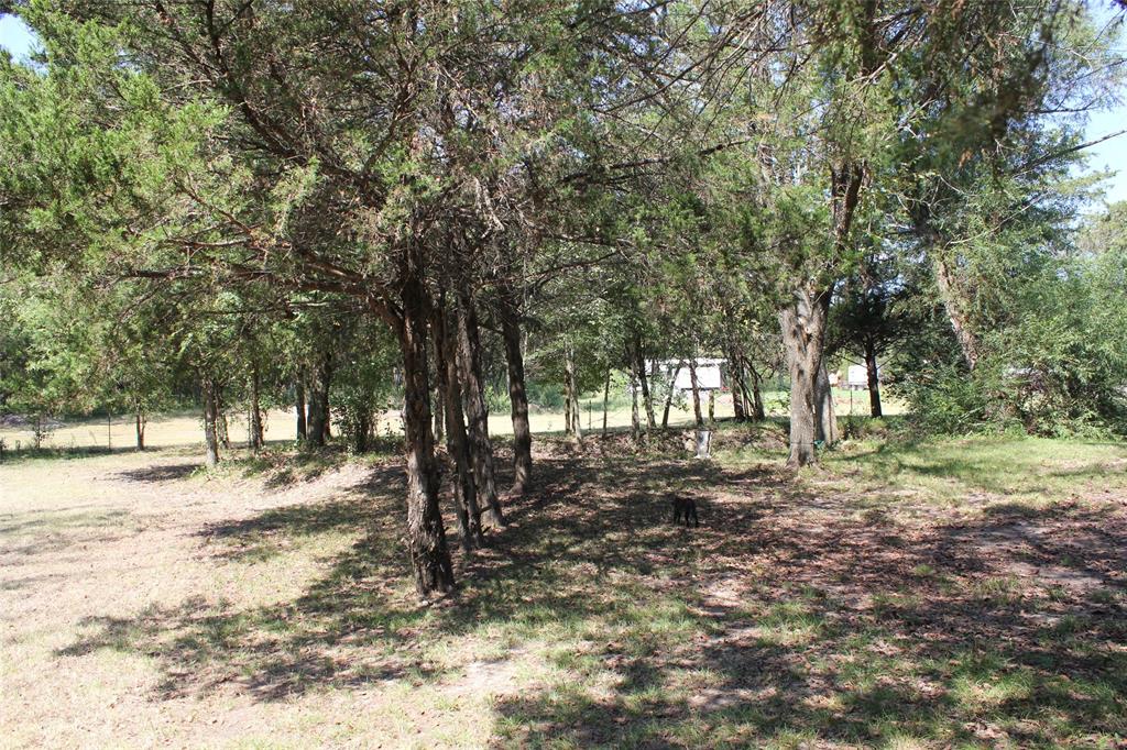 12608 Valverde Loop Terrell, TX 75161 - Photo 27 of 30 a view of a yard with plants and trees