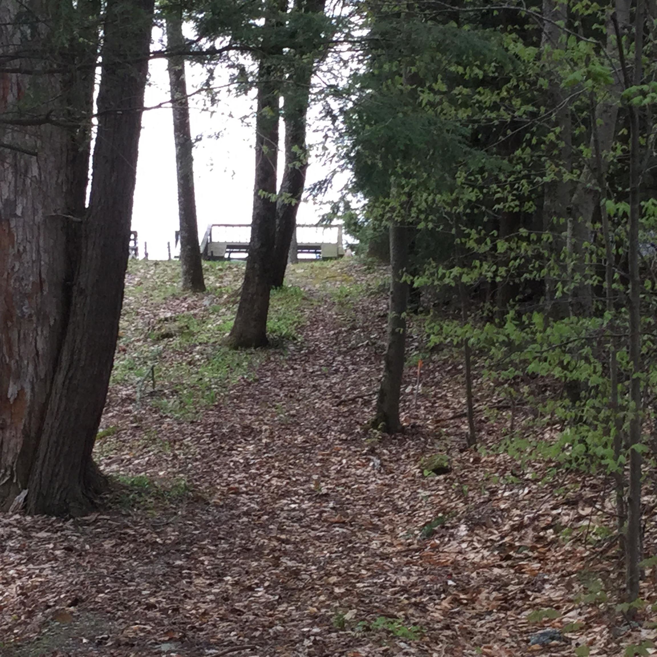 3335 West Lake Road Wells, VT 05774 - Photo 17 of 19