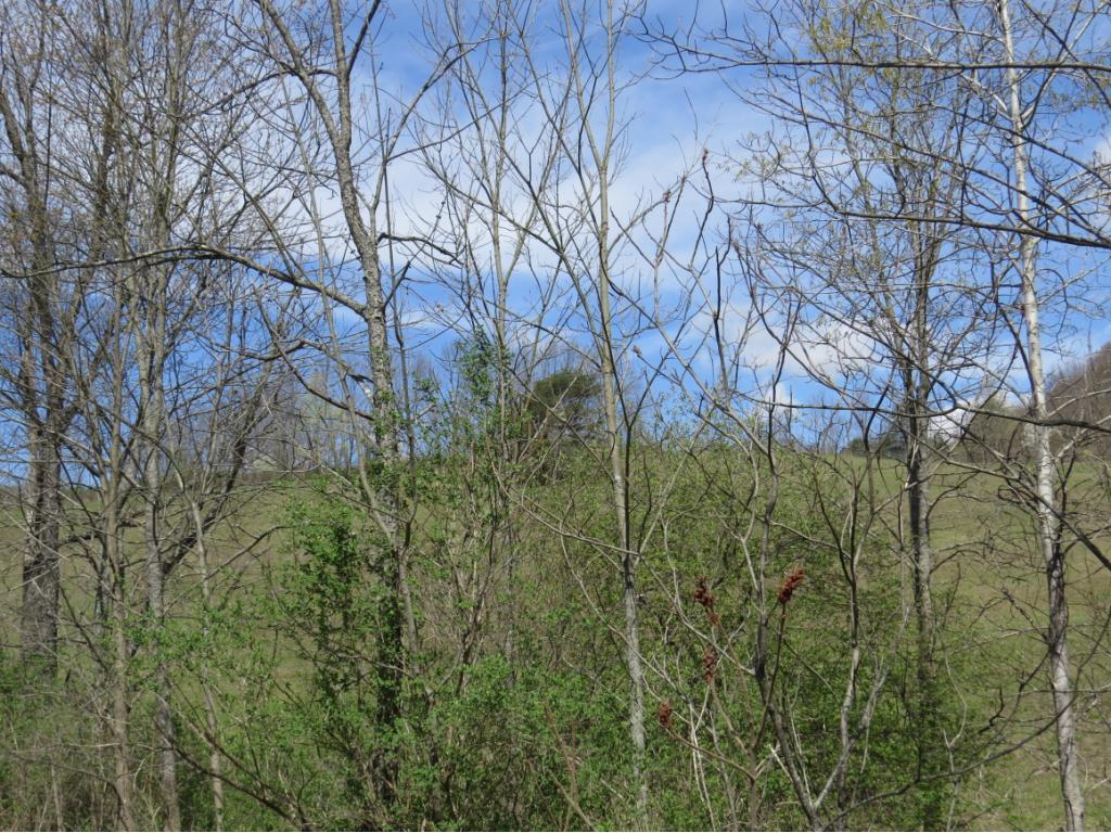 205 Old Rte 17 Windsor, NY 13865 - Photo 30 of 30