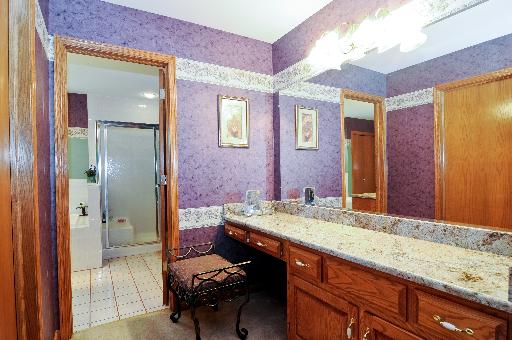 21218 Deerpath Road Frankfort, IL 60423 - Photo 8 of 12 a bathroom with a sink and a mirror