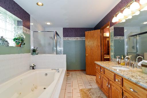 21218 Deerpath Road Frankfort, IL 60423 - Photo 9 of 12 a bathroom with a tub sink and mirror