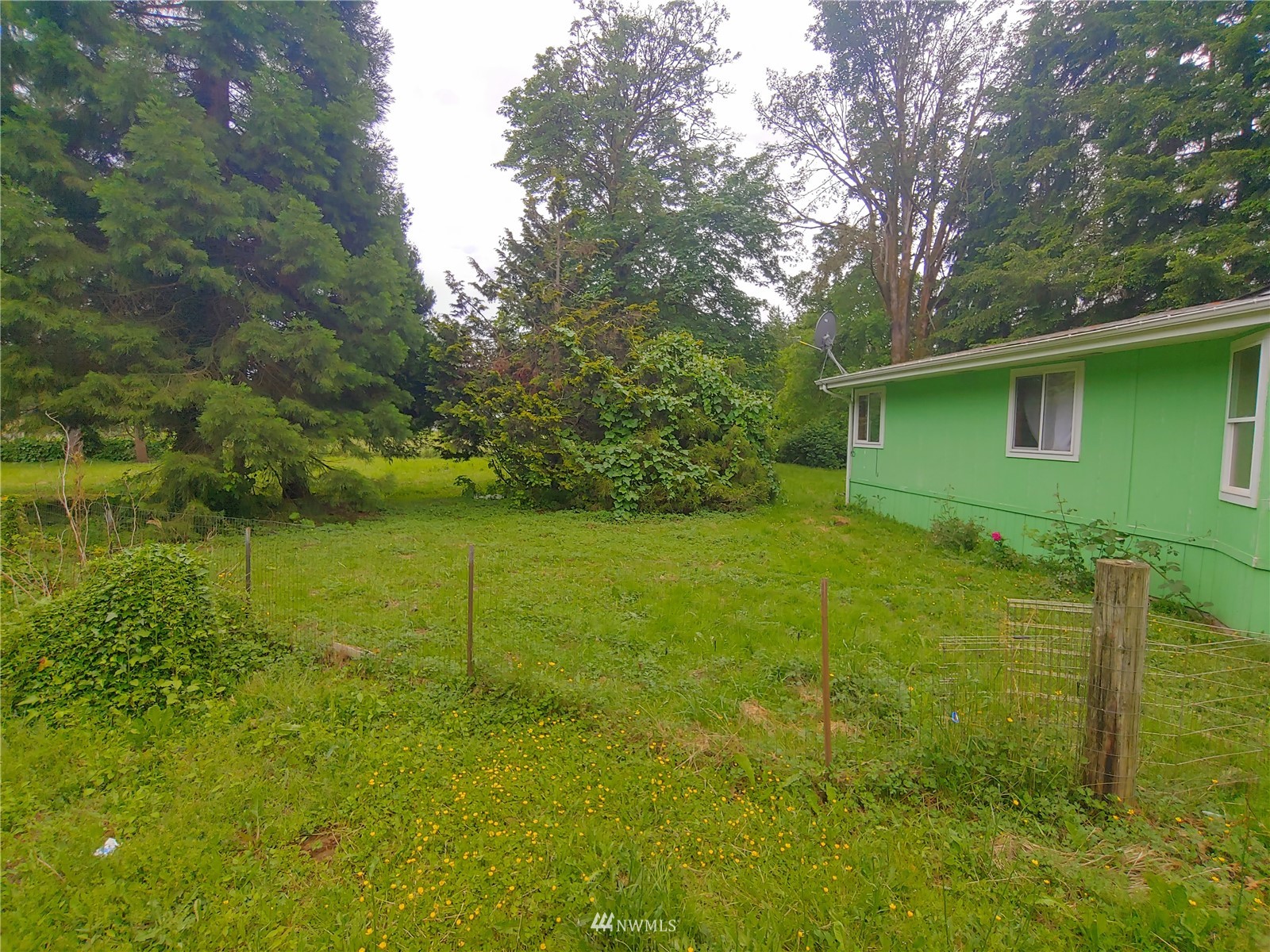 383 Bunker Creek Road Chehalis, WA 98532 - Photo 27 of 35 a view of a backyard with a garden
