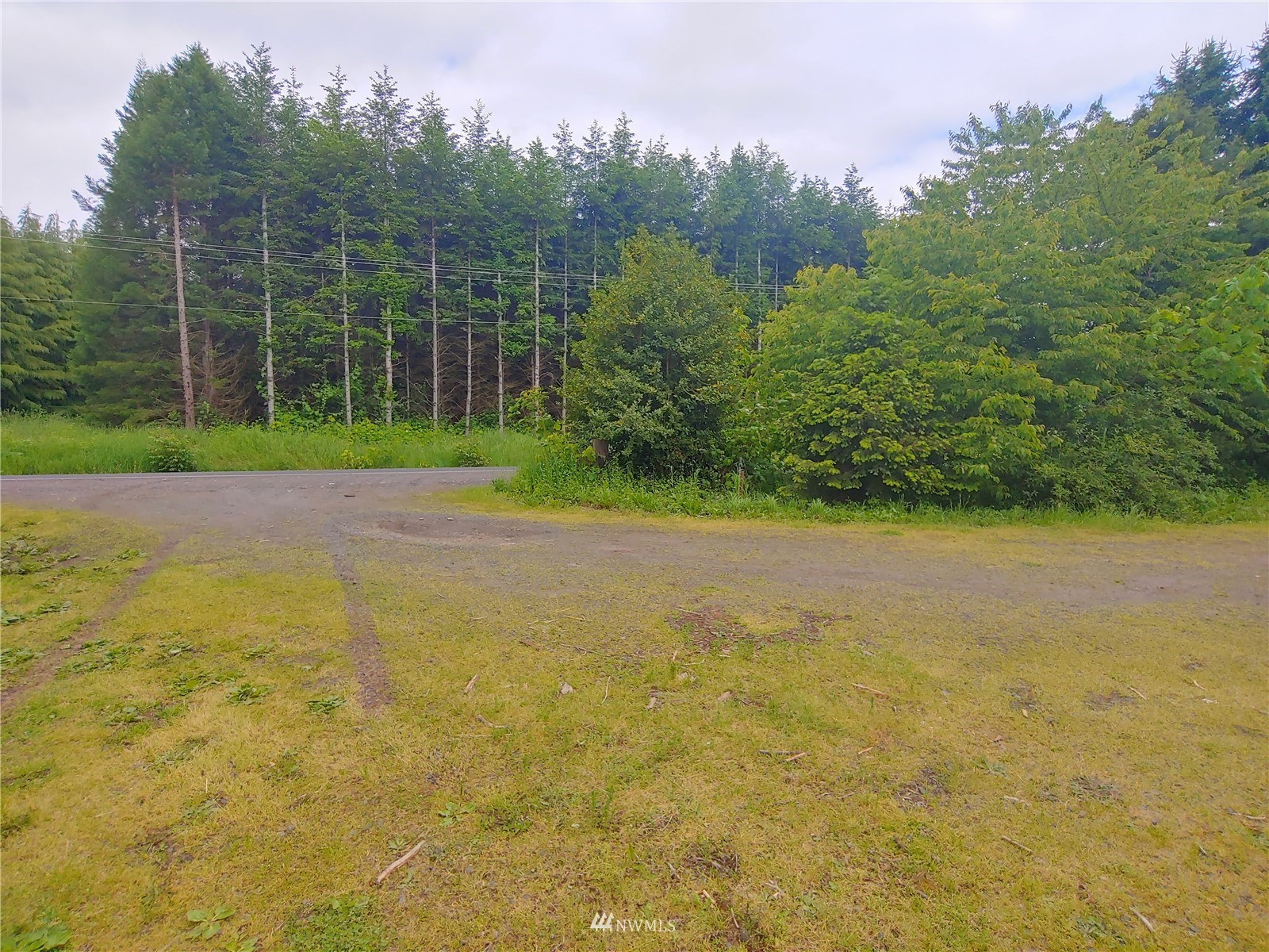 383 Bunker Creek Road Chehalis, WA 98532 - Photo 28 of 35 a view of a yard with basketball court