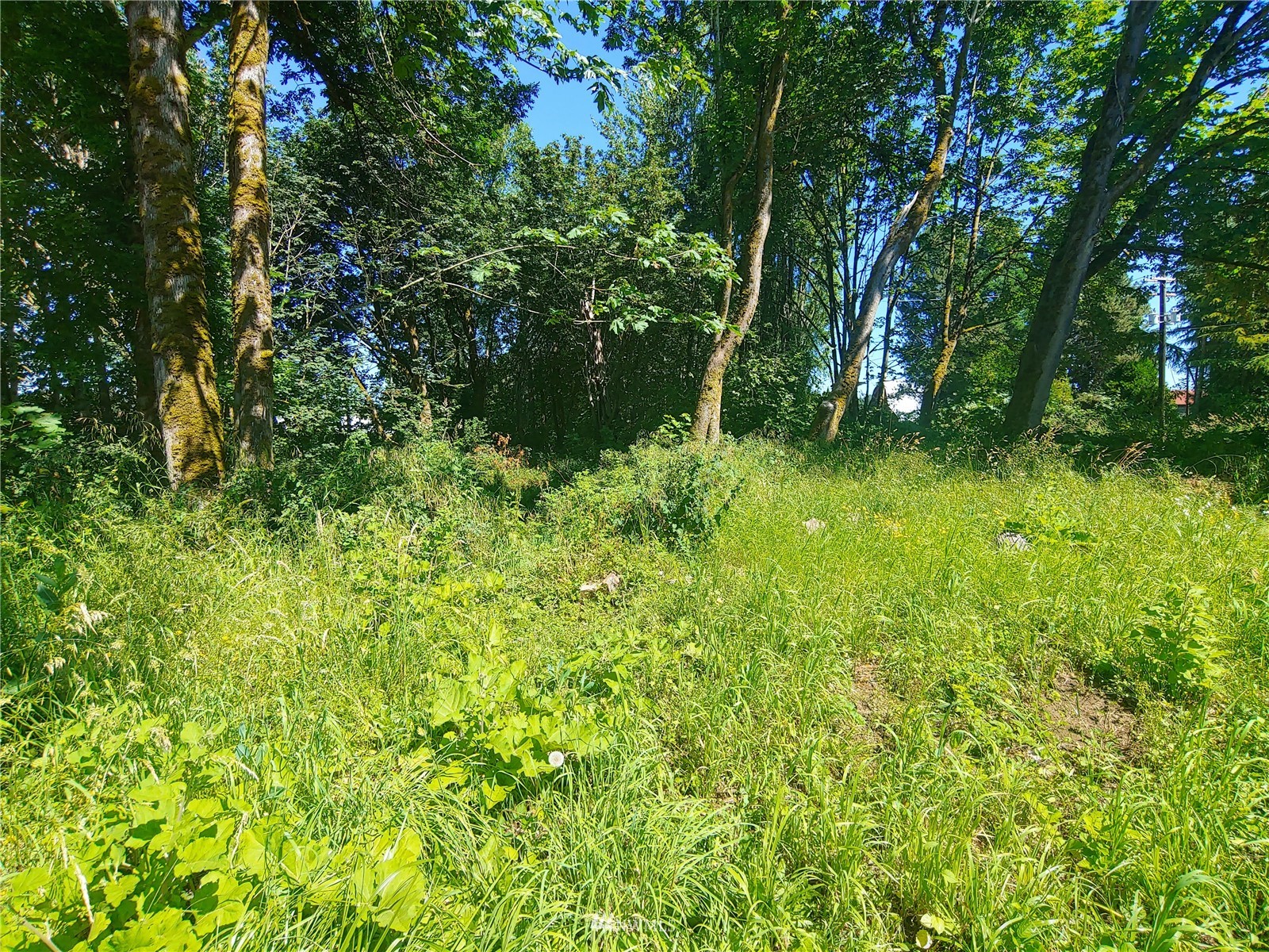 383 Bunker Creek Road Chehalis, WA 98532 - Photo 31 of 35 a view of a garden