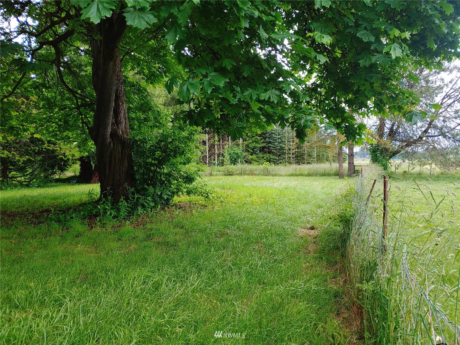 383 Bunker Creek Road Chehalis, WA 98532 - Photo 32 of 35 a view of a lush green space