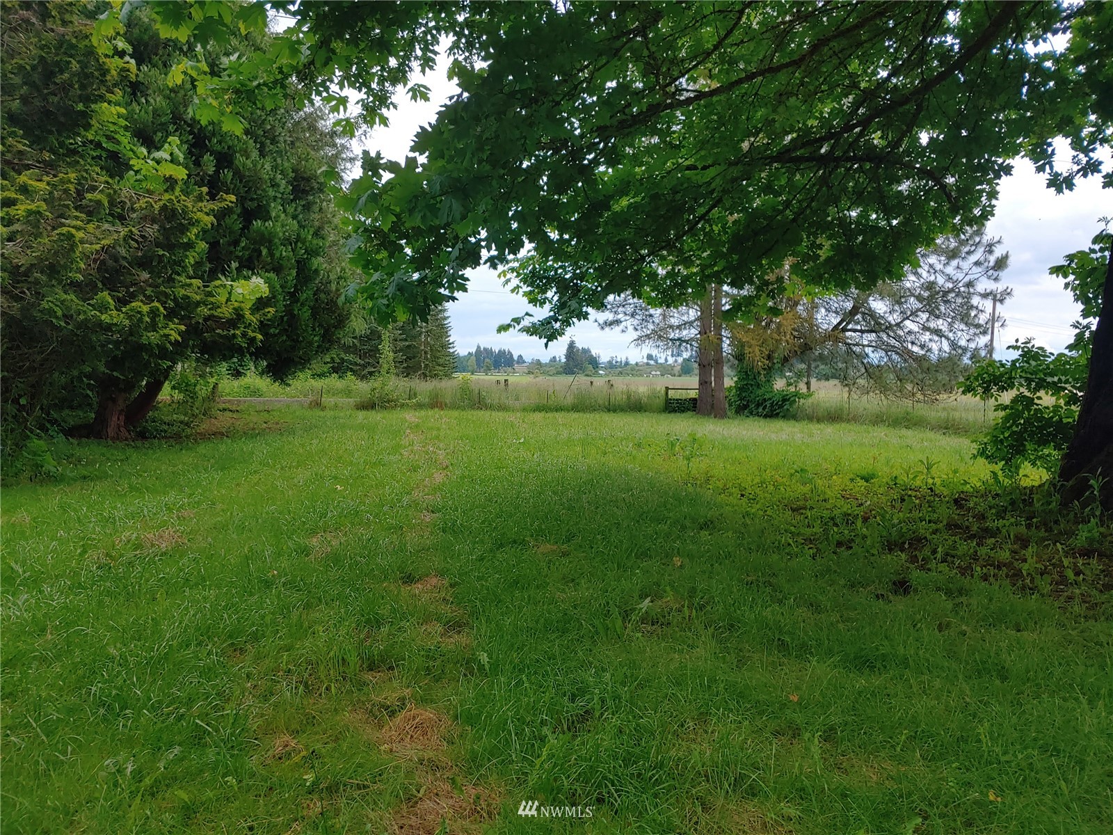 383 Bunker Creek Road Chehalis, WA 98532 - Photo 33 of 35 a view of a lush green space
