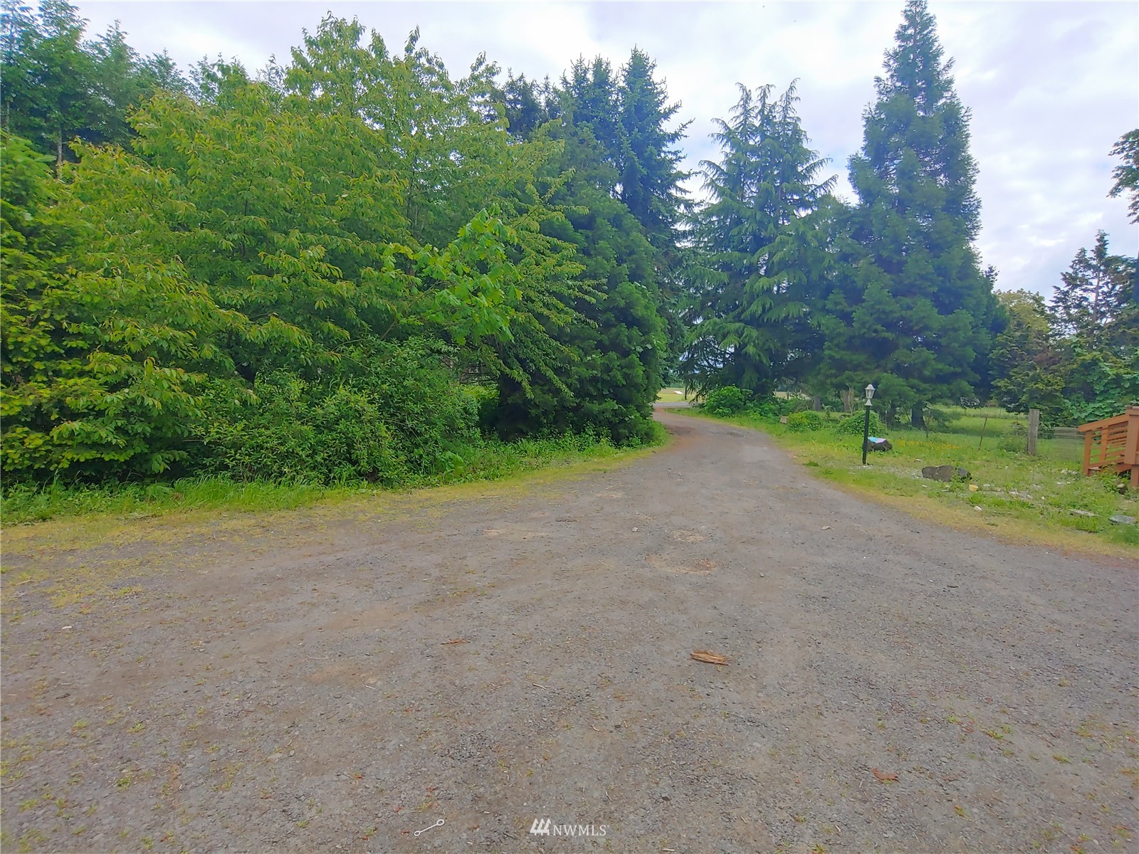 383 Bunker Creek Road Chehalis, WA 98532 - Photo 5 of 35 a view of a field with trees in background