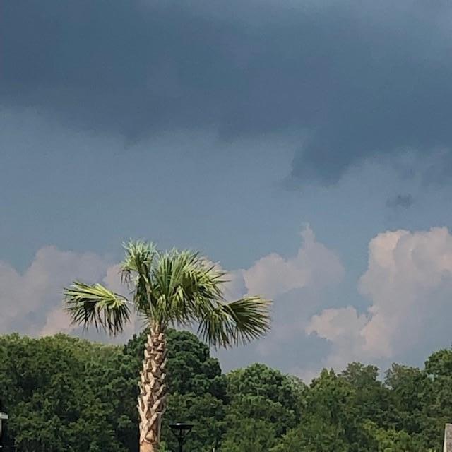 1278 Max Lane Mount Pleasant, SC 29466 - Photo 33 of 39 cloudy sky fulton