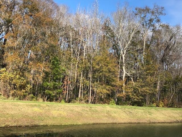 1278 Max Lane Mount Pleasant, SC 29466 - Photo 34 of 39 fulton pond