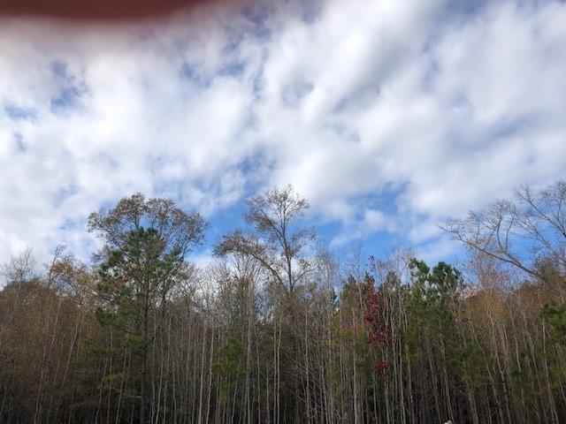 1278 Max Lane Mount Pleasant, SC 29466 - Photo 35 of 39 protected wetlands fulton