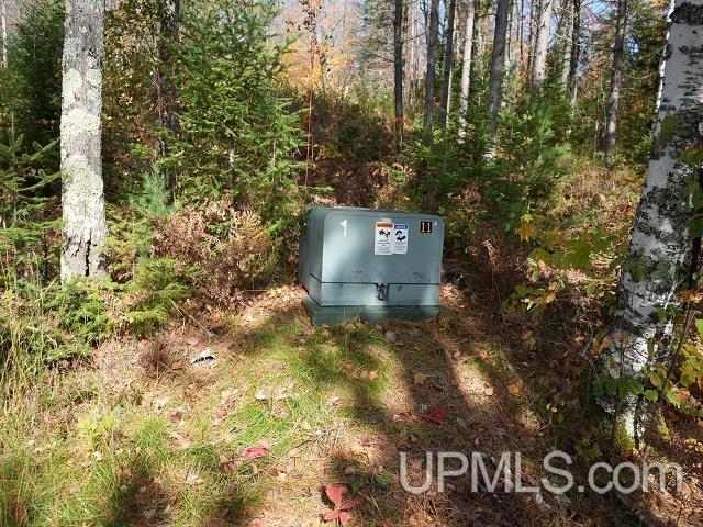 5800 Wolf Lake Road Watersmeet, MI 49969 - Photo 42 of 86