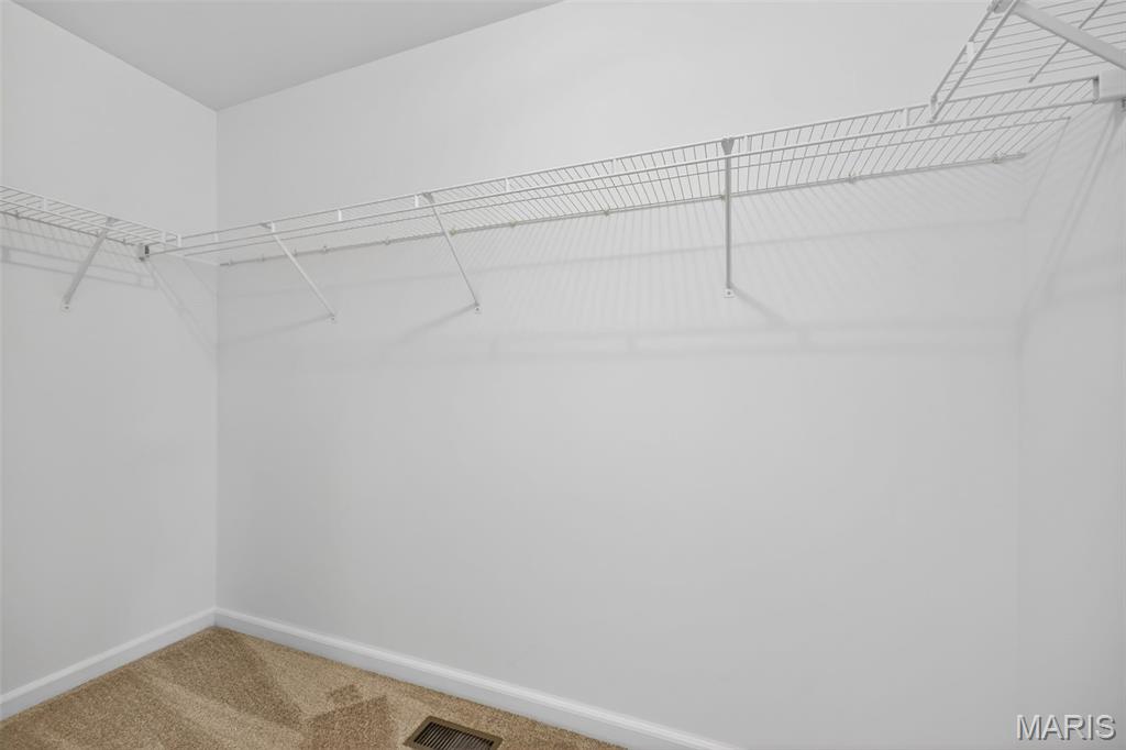 1130 Spring Orchard Drive O'Fallon, MO 63368 - Photo 53 of 68