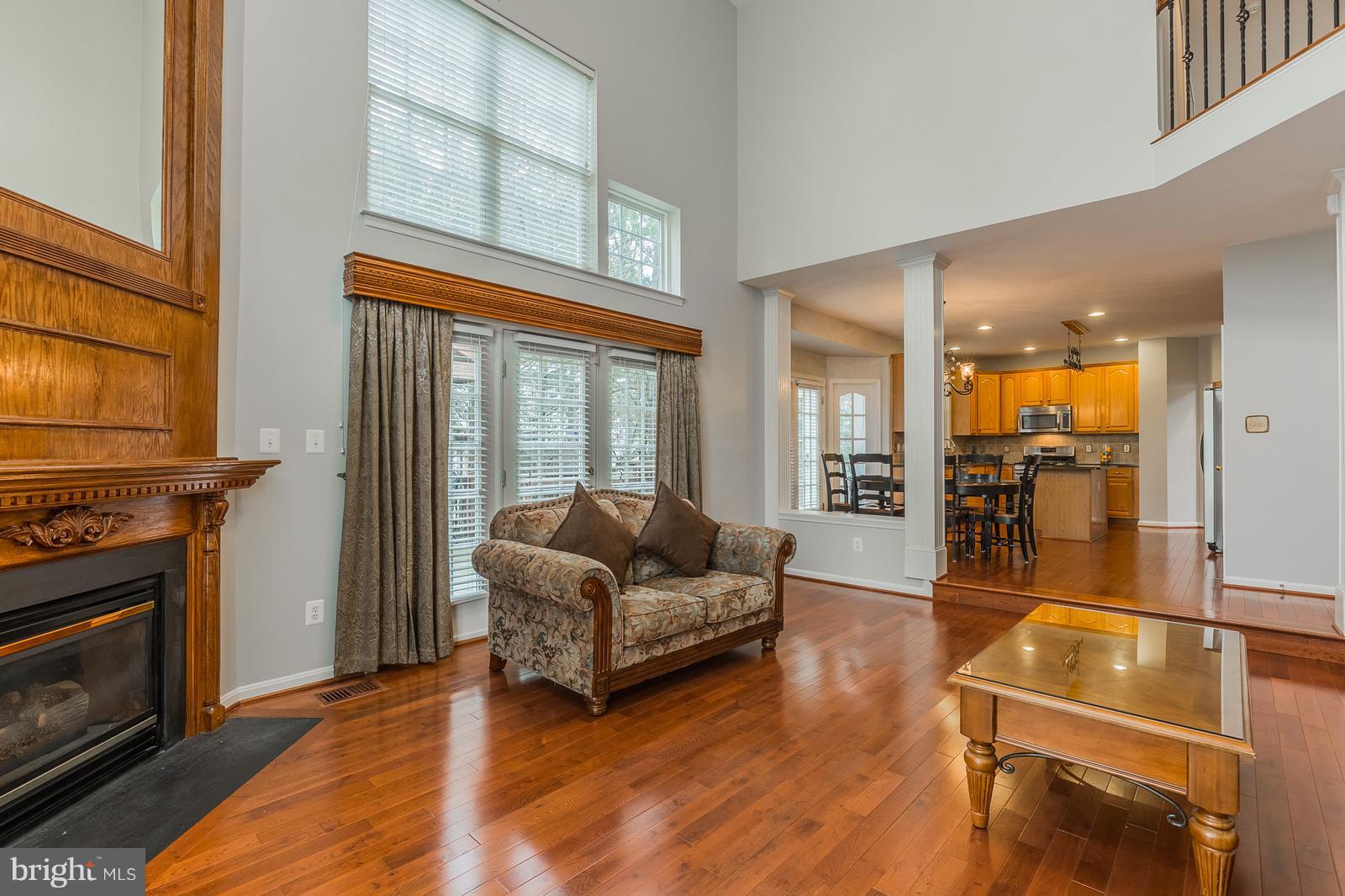 43553 Dempsey Lane Chantilly, VA 20152 - Photo 5 of 30 a living room with furniture and a fireplace