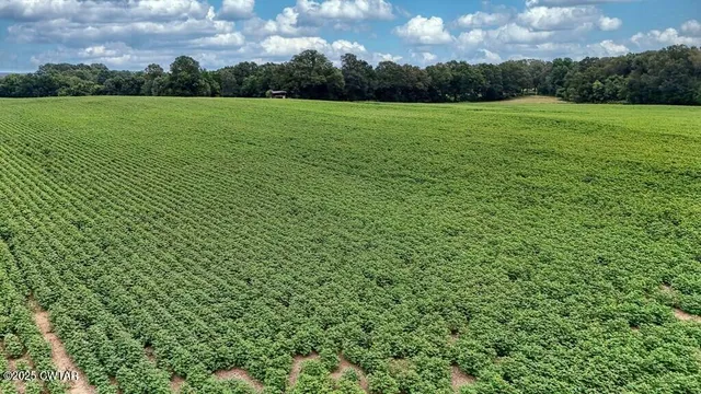 a view of a garden with a building in the background