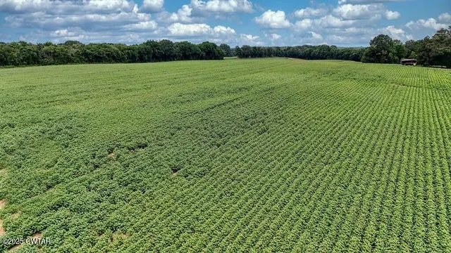 a view of yard with green space
