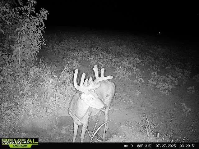 a close view of light fixtures