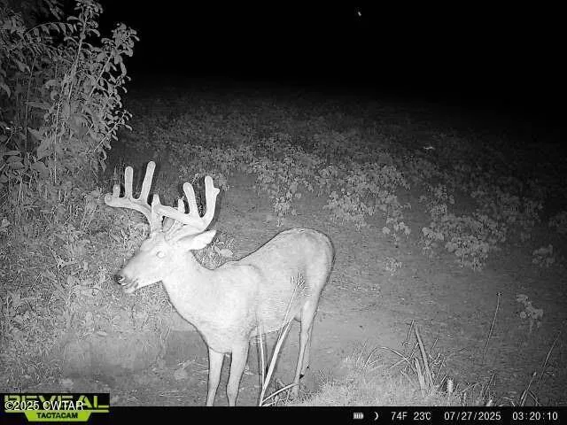 a view of a lake from a yard