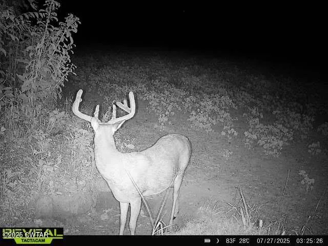 a view of a lake from a yard