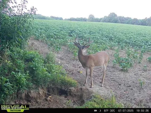 $249,900 | 4999 Ben Smith Road, McKenzie, TN 38201