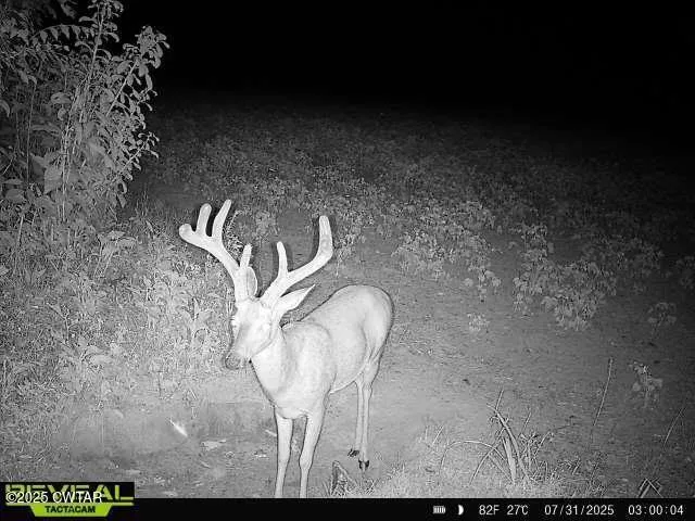 $275,000 | 4999 Ben Smith Road, McKenzie, TN 38201