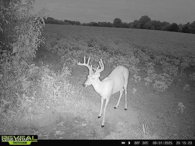 $275,000 | 4999 Ben Smith Road, McKenzie, TN 38201