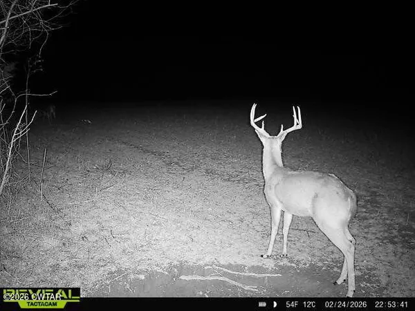 $249,900 | 4999 Ben Smith Road, McKenzie, TN 38201