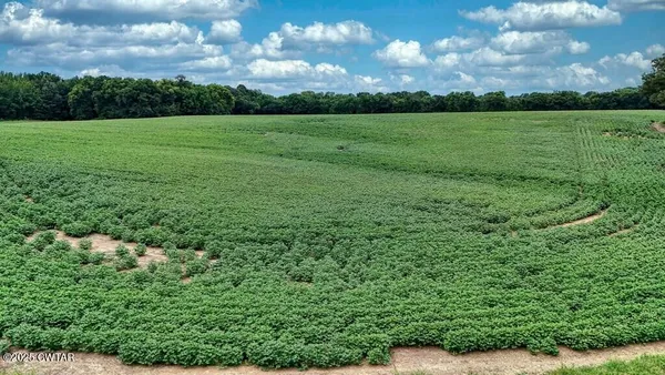 a view of field with green space
