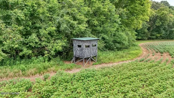 a view of a back yard