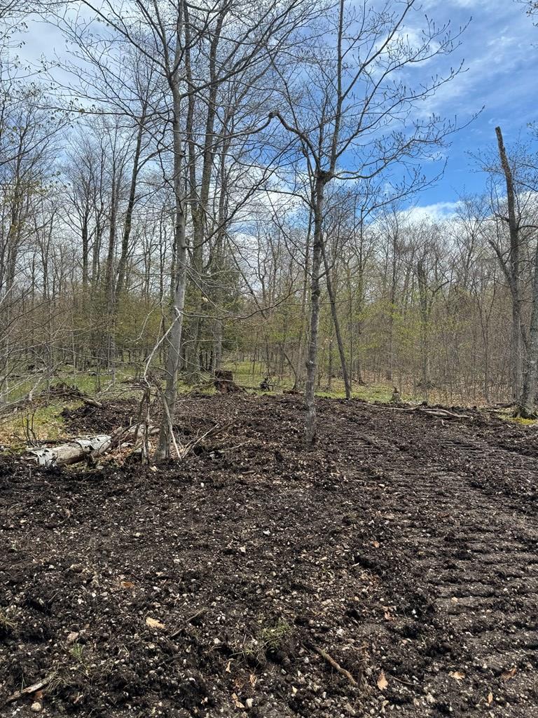 Tbd Lot1 Isle View Road Ellison Bay, WI 54210 - Photo 11 of 11