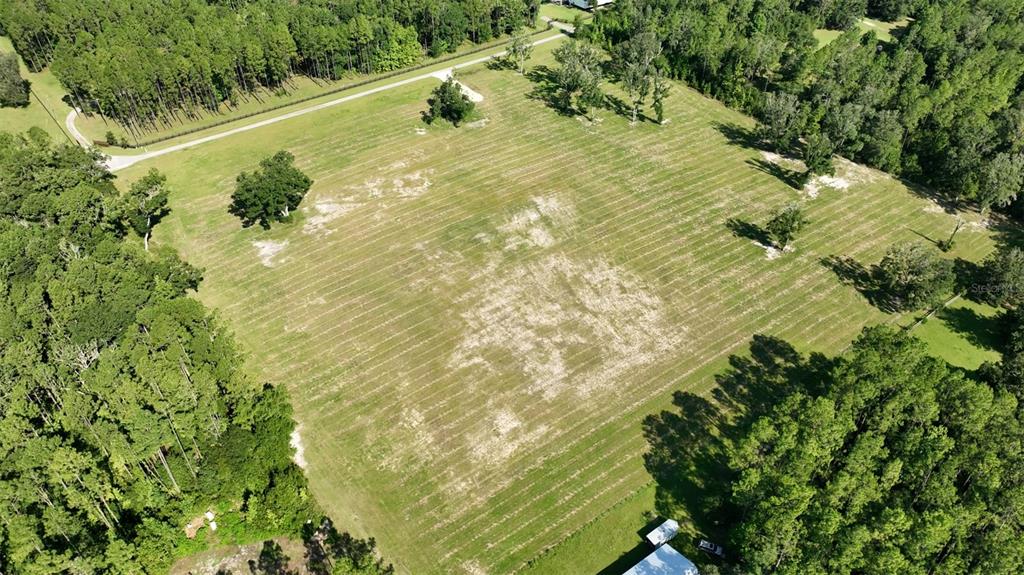 Northwest 116th Court Reddick, FL 32686 - Photo 13 of 18 a view of a yard
