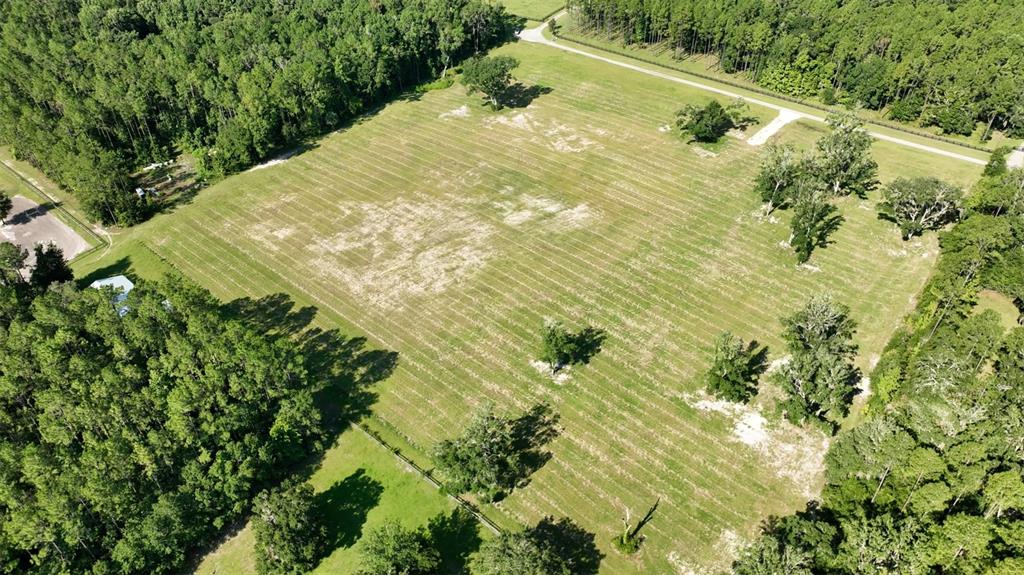 Northwest 116th Court Reddick, FL 32686 - Photo 14 of 18 a view of a yard
