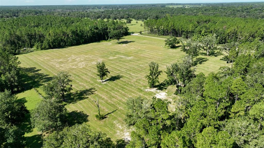 Northwest 116th Court Reddick, FL 32686 - Photo 3 of 18 a view of a big yard with large trees