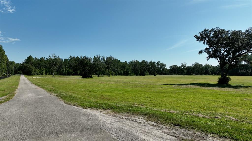 Northwest 116th Court Reddick, FL 32686 - Photo 6 of 18 a view of a garden with a tree
