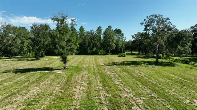 a view of a playground with a yard