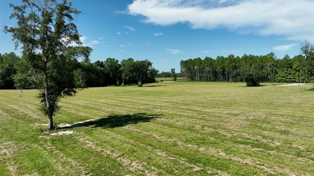 Northwest 116th Court Reddick, FL 32686 - Photo 9 of 18 a view of an ocean view