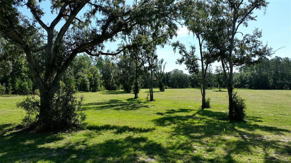 Northwest 116th Court Reddick, FL 32686 - Photo 10 of 18 a view of a yard with a tree
