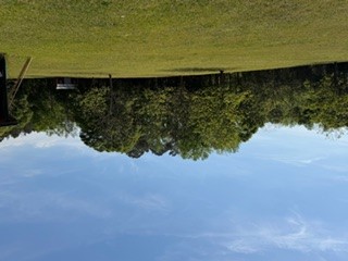 103 Gilkeson Road Honea Path, SC 29654 - Photo 12 of 25 Expansive green space and mature trees define this desirable property.