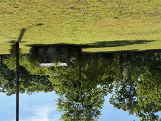 103 Gilkeson Road Honea Path, SC 29654 - Photo 14 of 25 This expansive lot features mature trees, offering both shade and natural beauty.