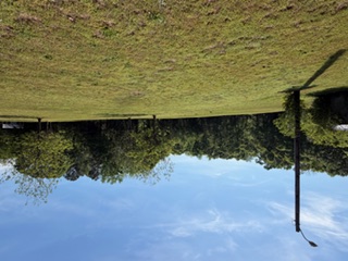 103 Gilkeson Road Honea Path, SC 29654 - Photo 15 of 25 This spacious grassy lot offers ample room for your next dream home.