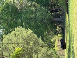 103 Gilkeson Road Honea Path, SC 29654 - Photo 16 of 25 This tranquil setting offers a spacious lawn and mature trees, perfect for outdoor enjoyment.