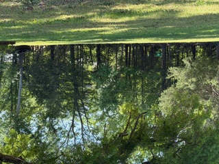 103 Gilkeson Road Honea Path, SC 29654 - Photo 17 of 25 This tranquil waterfront setting offers a picturesque and serene natural escape.