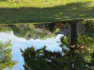 103 Gilkeson Road Honea Path, SC 29654 - Photo 18 of 25 This residence is nestled amidst mature trees, offering a tranquil and private setting.