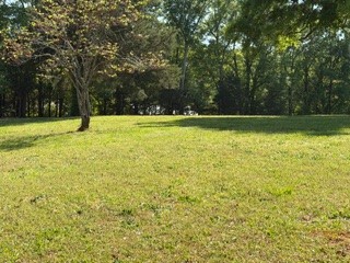 103 Gilkeson Road Honea Path, SC 29654 - Photo 24 of 25 Expansive green space offers a serene canvas for your envisioned dwelling.