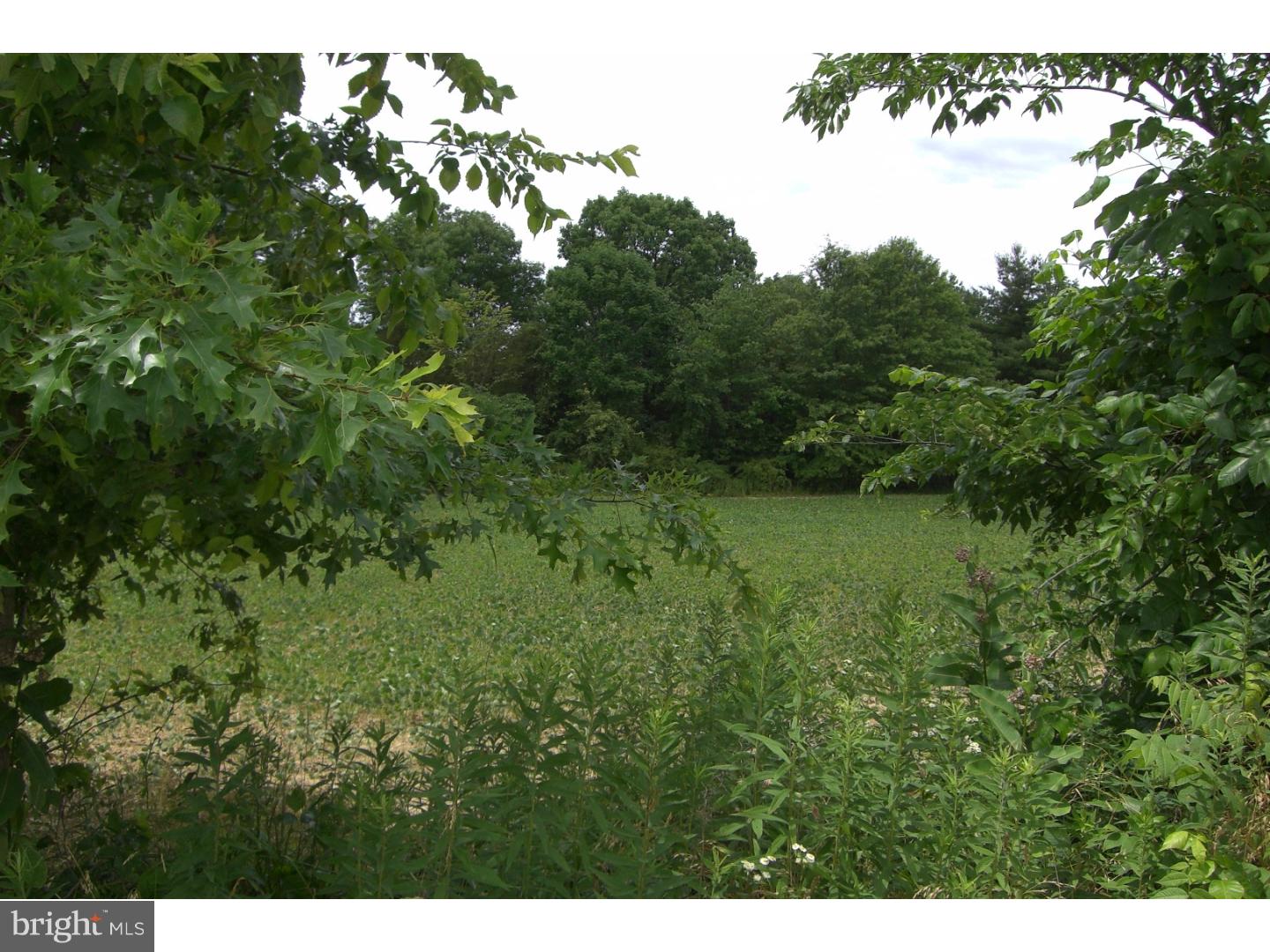 Lot 21 Hoffmansville Road Frederick, PA 19435 - Photo 5 of 5 Gallery Image 5