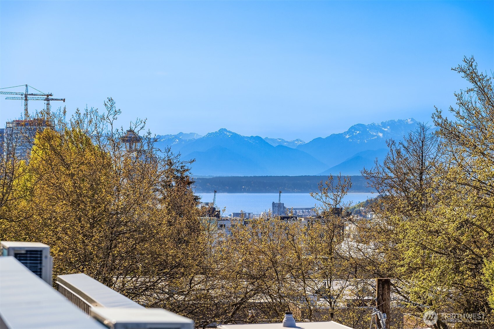 1715 17th Avenue Seattle, WA 98122 - Photo 20 of 24