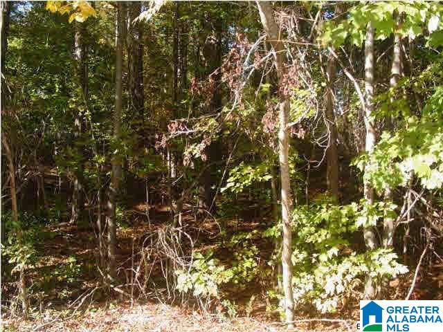 Choccolocco Road, Unit 2 43 Anniston, AL 36201 - Photo 5 of 10