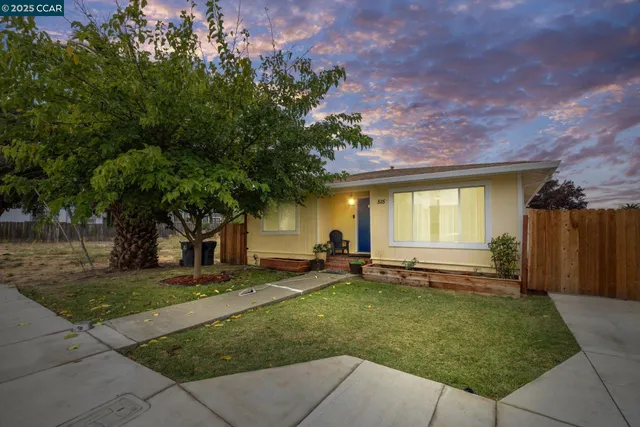 a view of a backyard with a garden and tree