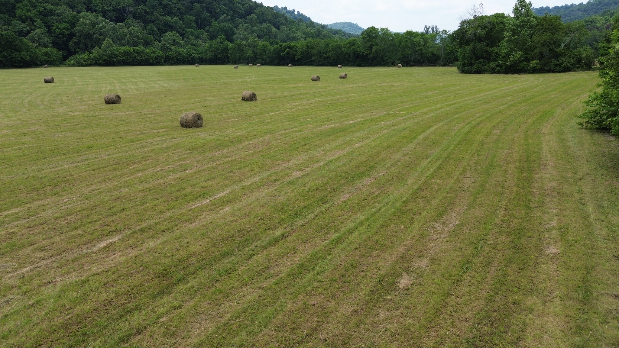 0 Dry Creek Road Dowelltown, TN 37059 - Photo 2 of 11 a view of a field with an outdoor space