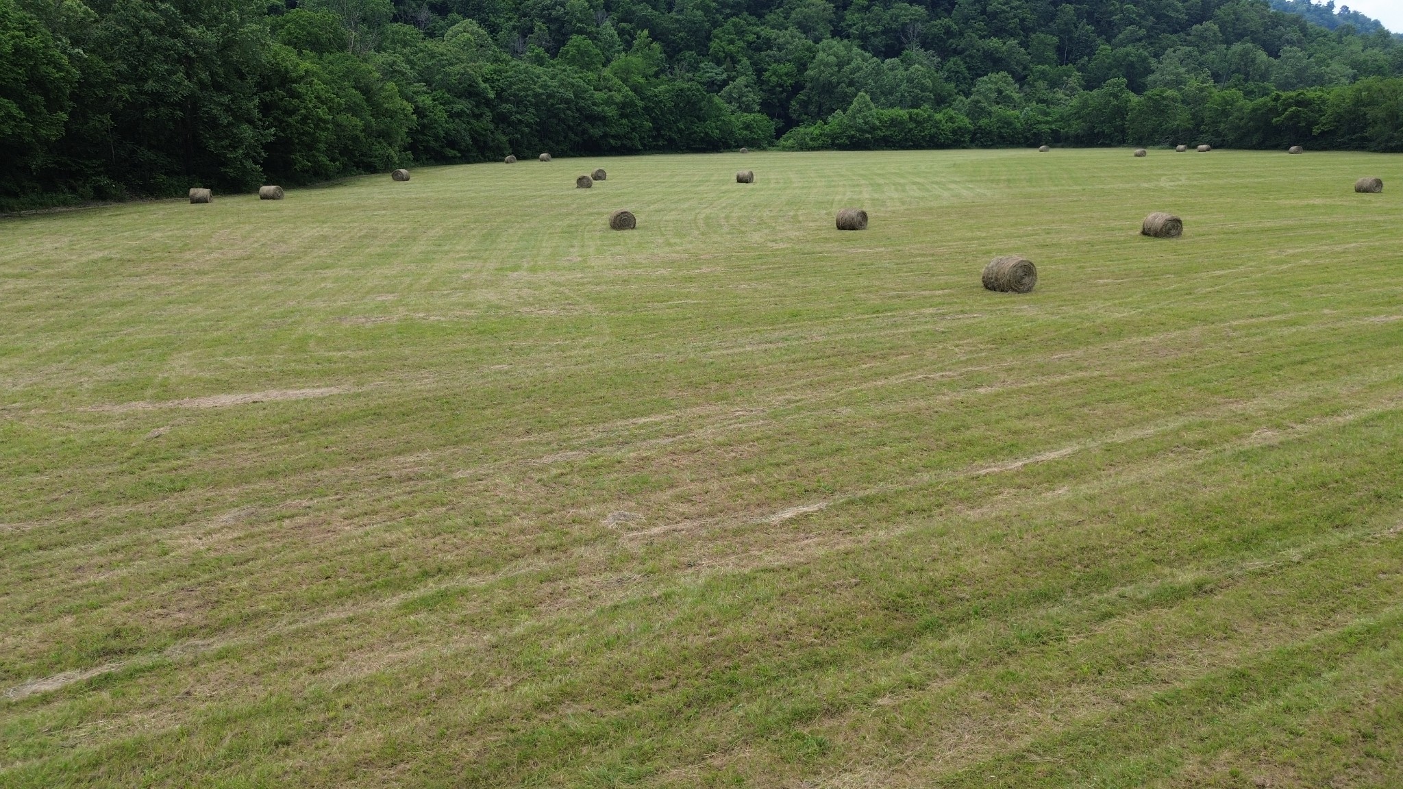 0 Dry Creek Road Dowelltown, TN 37059 - Photo 3 of 11 a view of bathroom with lake view