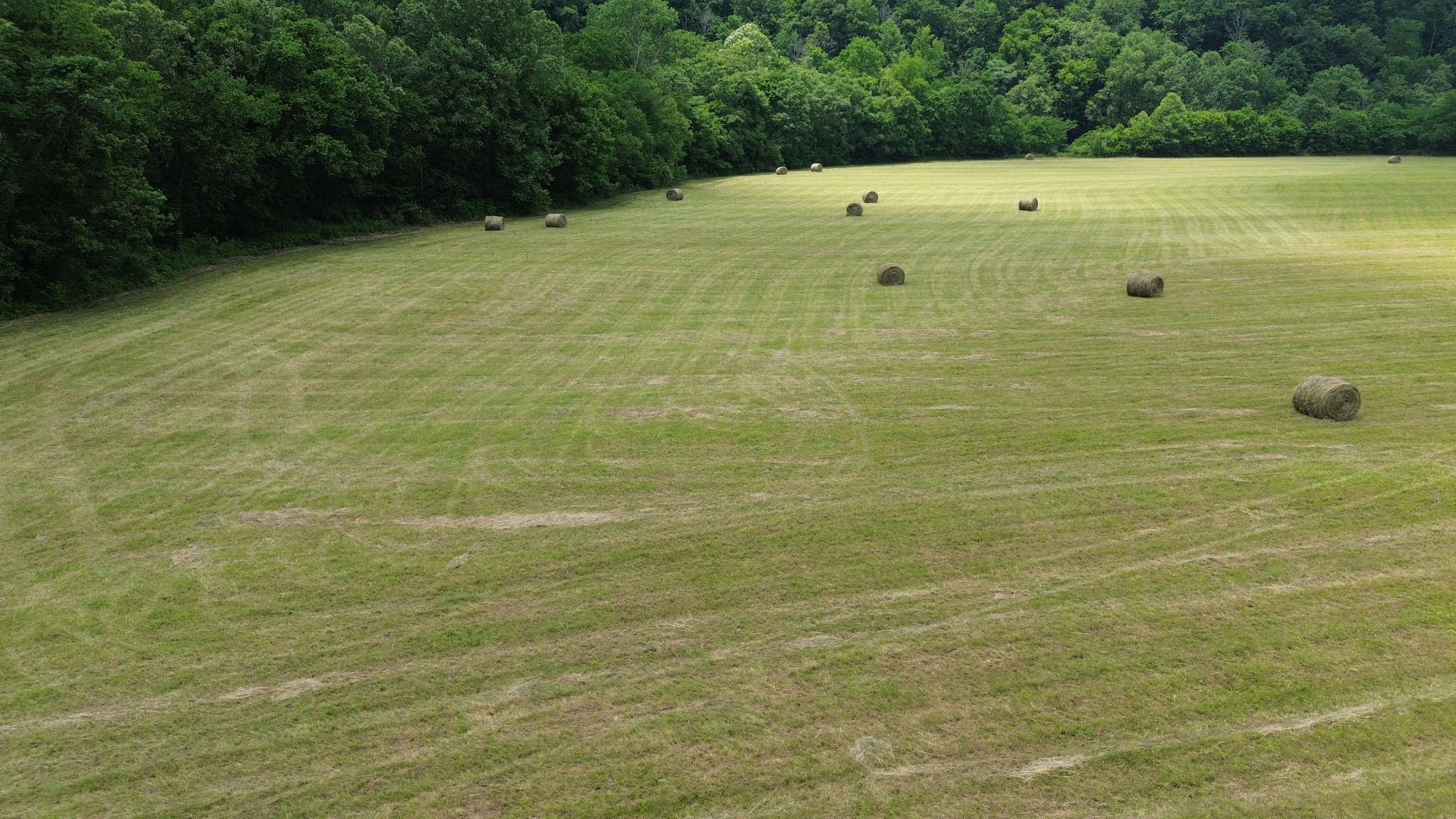 0 Dry Creek Road Dowelltown, TN 37059 - Photo 7 of 11 a view of a bathroom shower